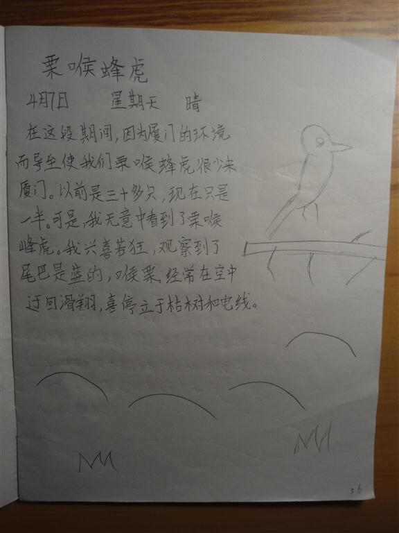 上传的图片