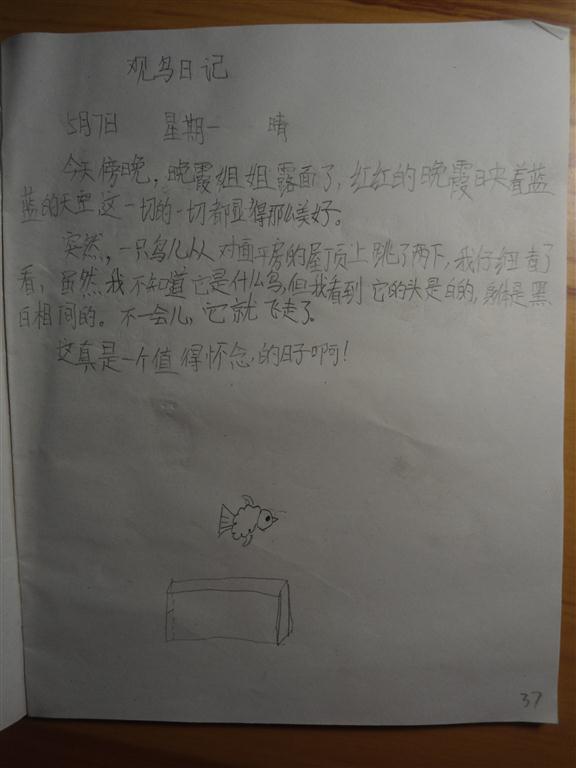 上传的图片