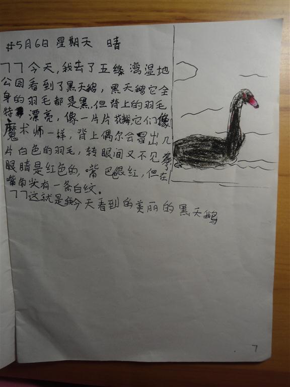 上传的图片
