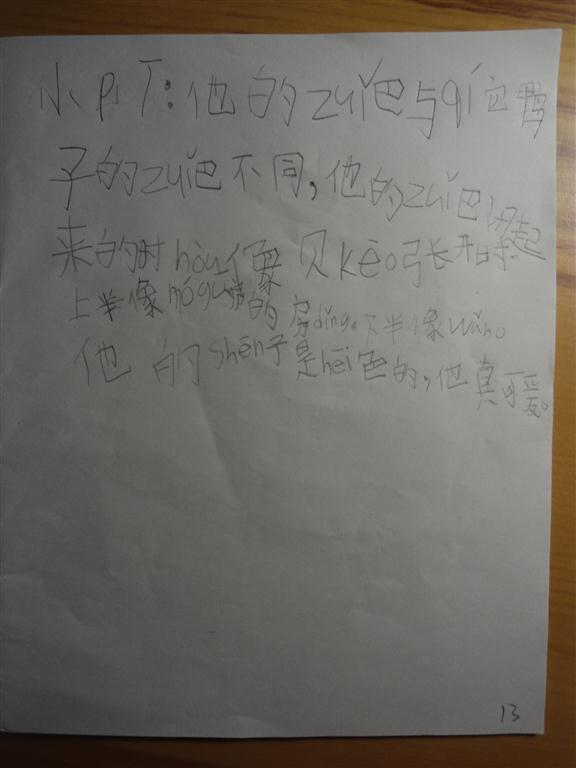 上传的图片