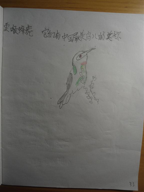 上传的图片
