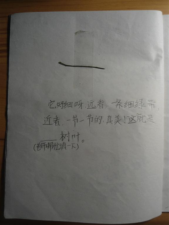 上传的图片