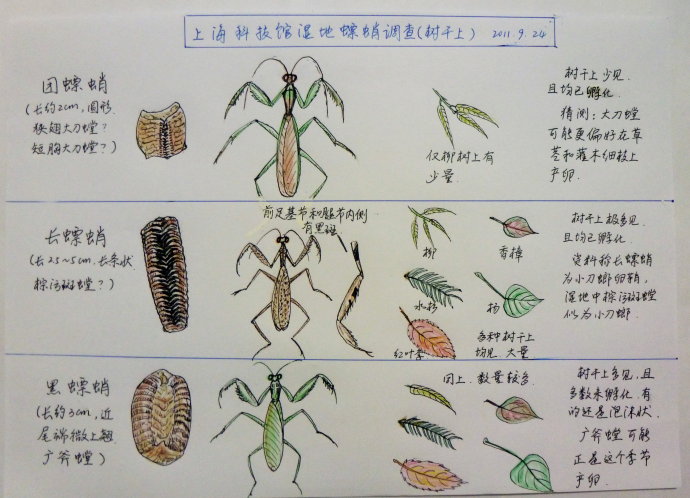 上传的图片