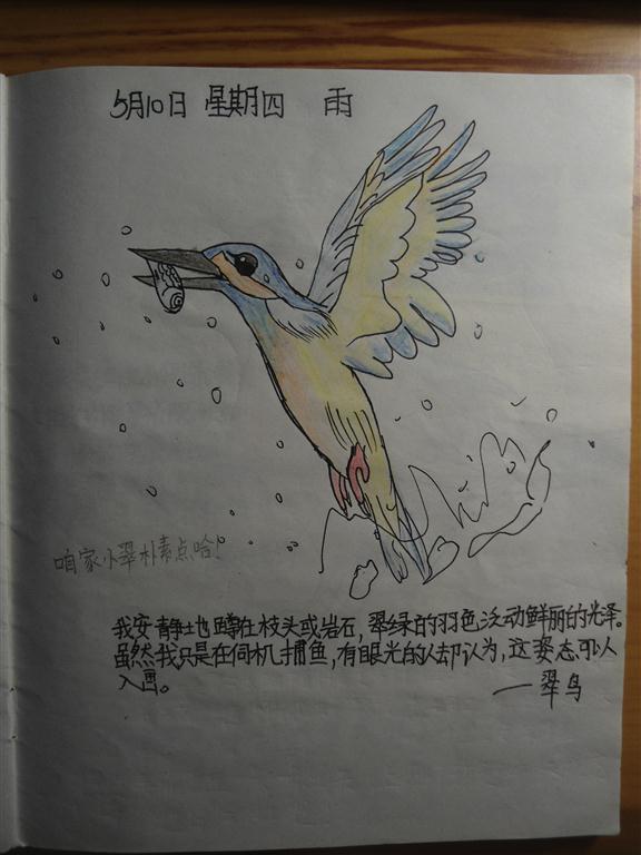 上传的图片