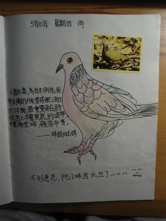 上传的图片