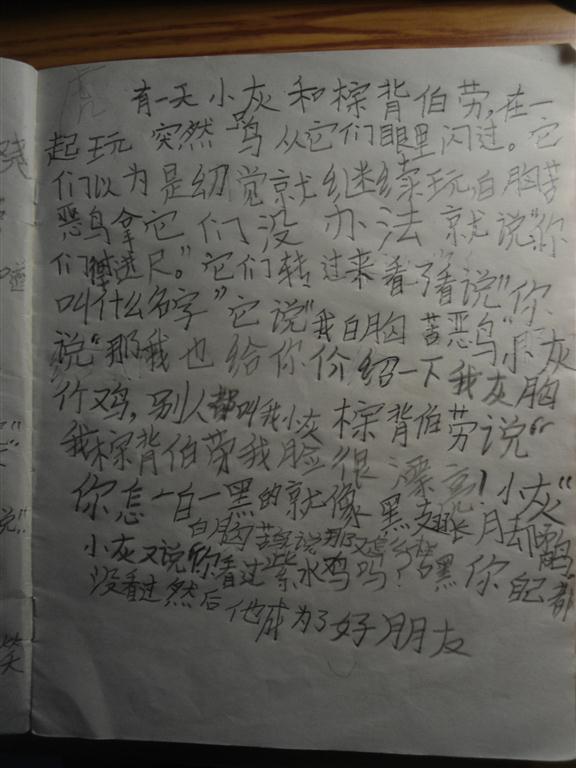 上传的图片