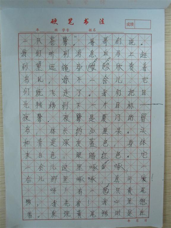 上传的图片