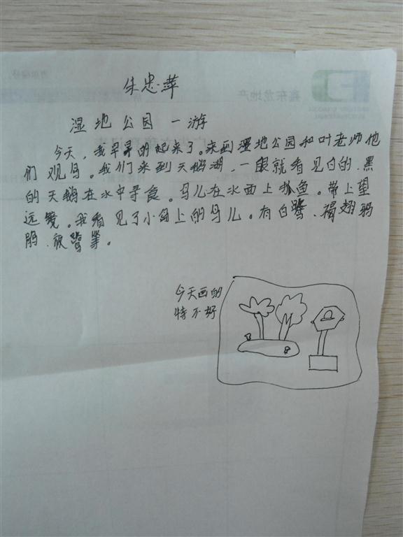 上传的图片