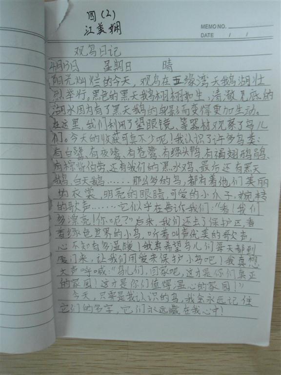 上传的图片