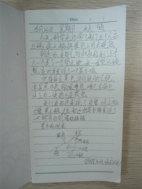 上传的图片