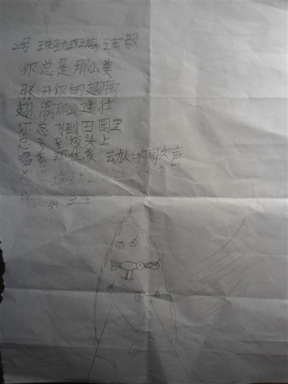 上传的图片