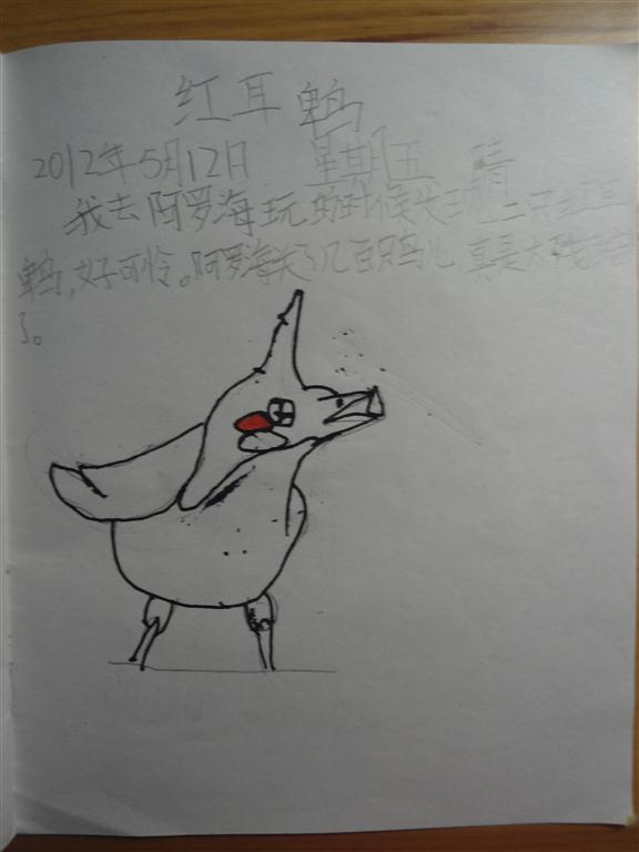 上传的图片