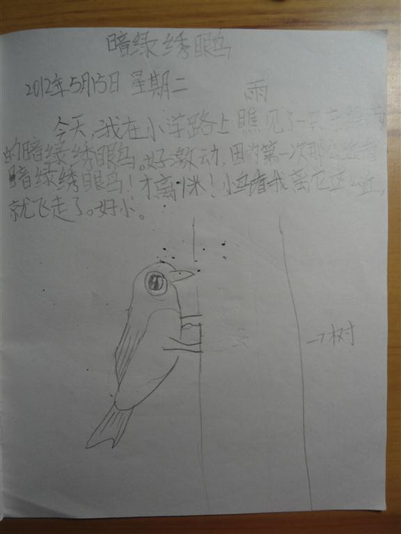 上传的图片
