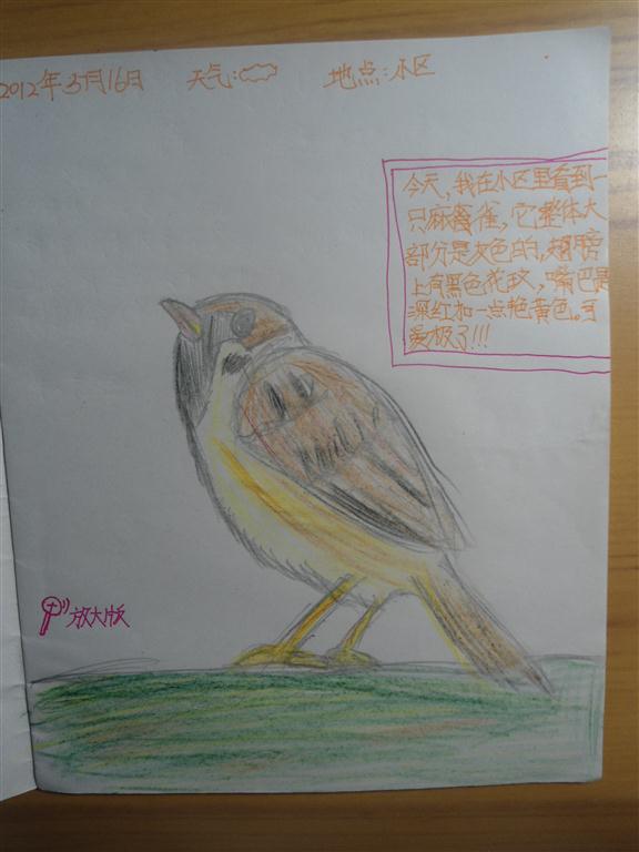 上传的图片