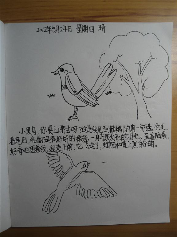 上传的图片