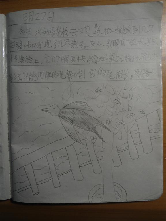上传的图片