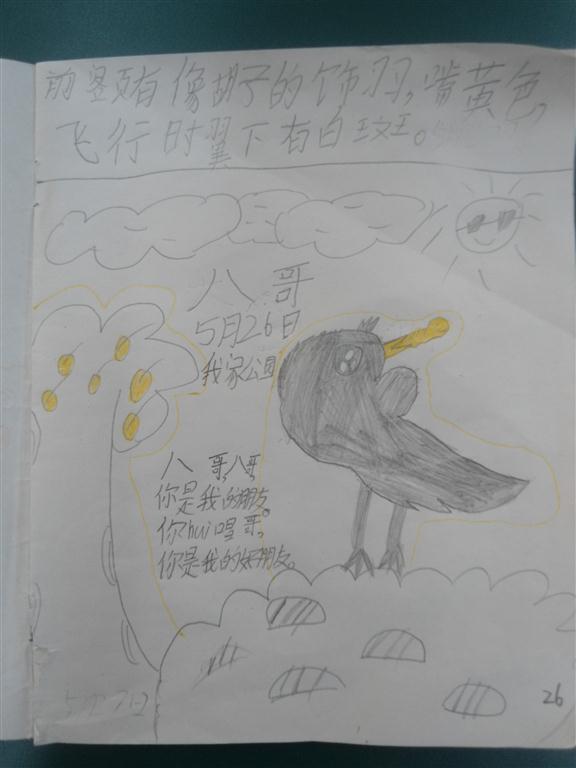 上传的图片