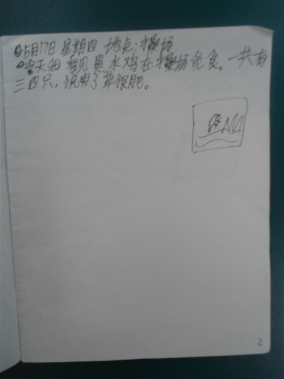 上传的图片
