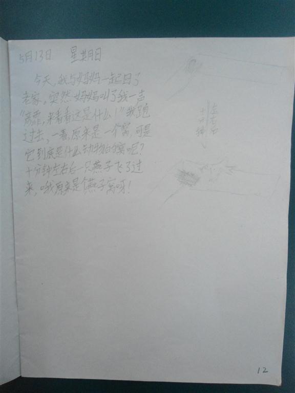 上传的图片
