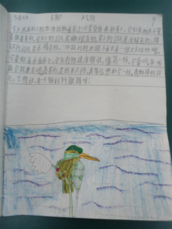 上传的图片
