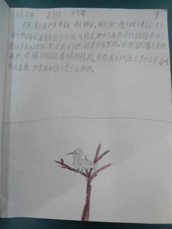 上传的图片
