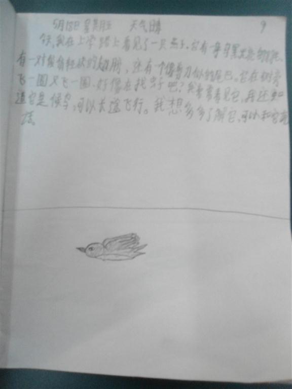 上传的图片