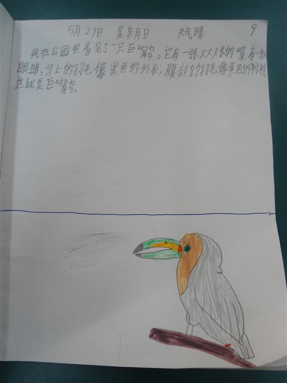 上传的图片