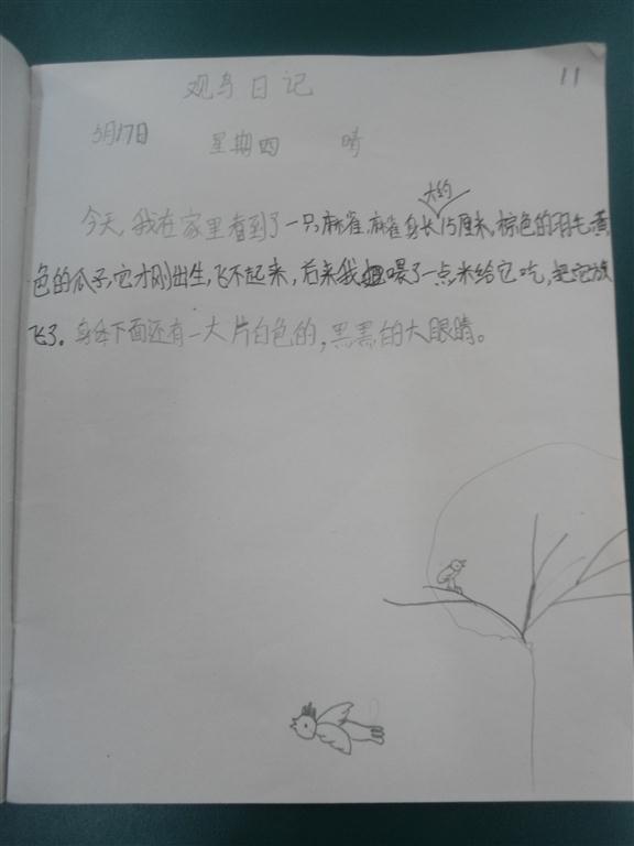 上传的图片