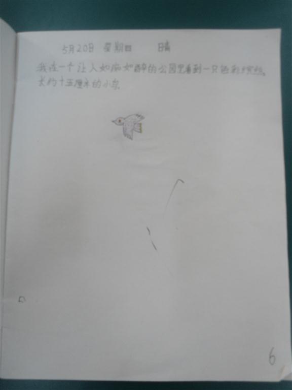 上传的图片