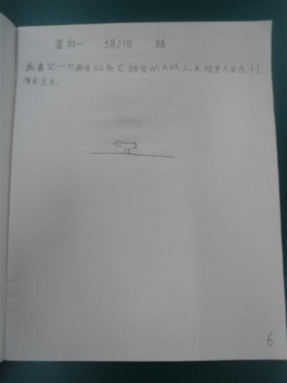 上传的图片