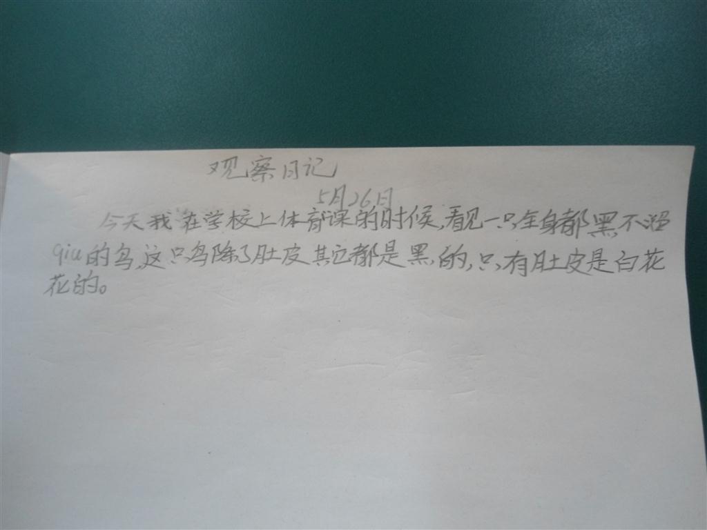 上传的图片