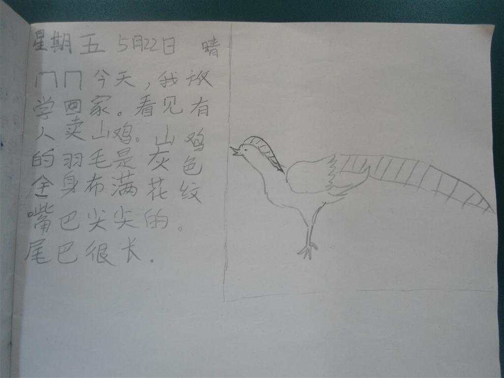 上传的图片