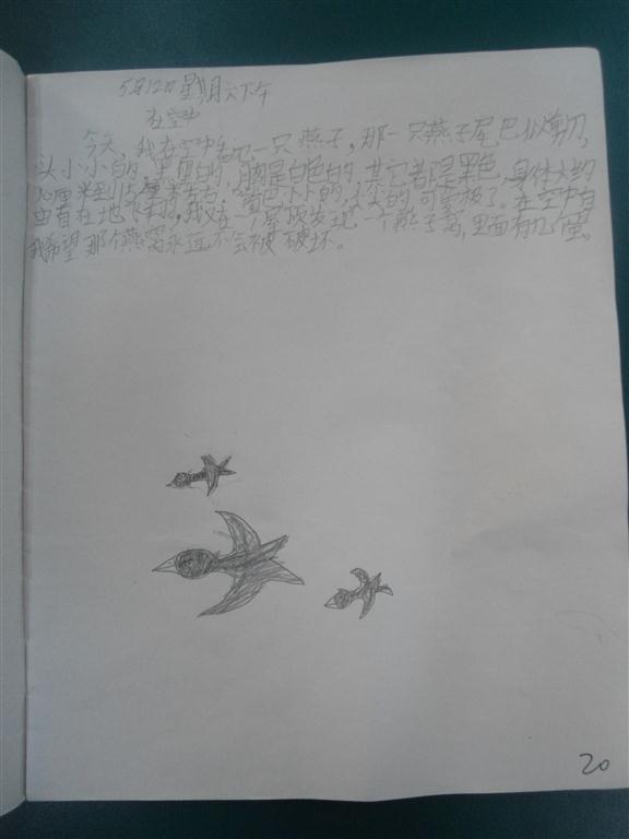 上传的图片