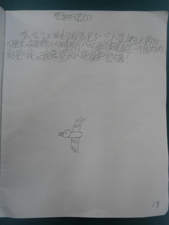 上传的图片