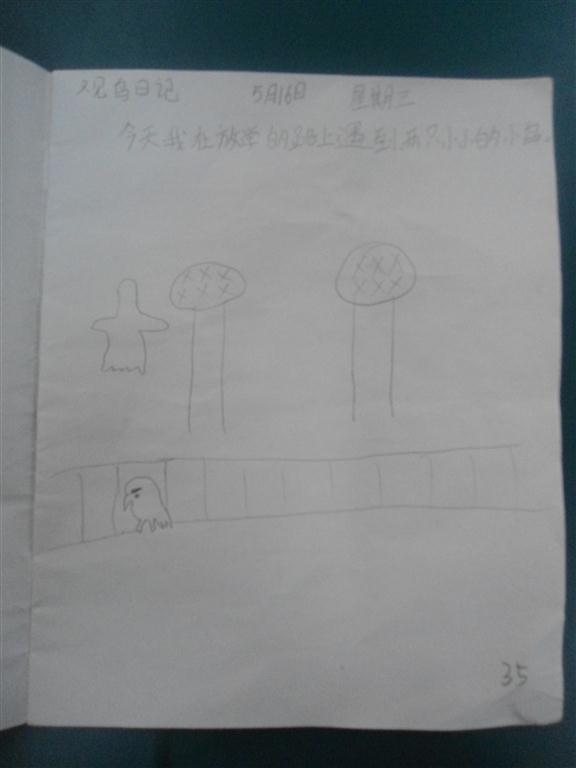 上传的图片