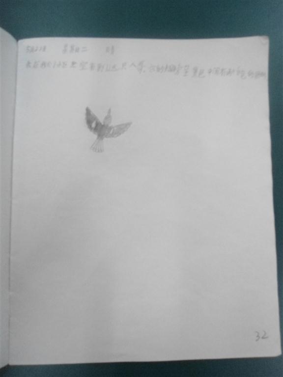 上传的图片