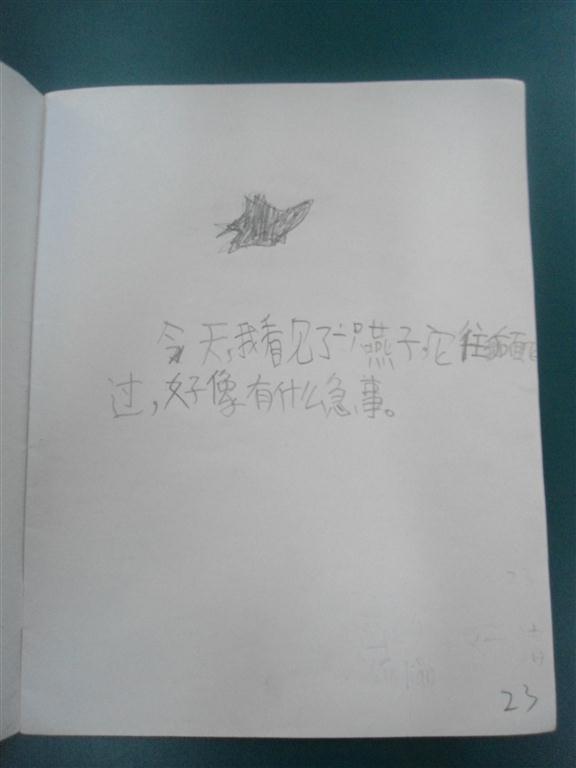 上传的图片