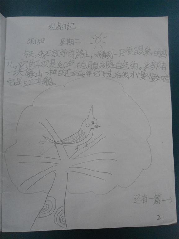 上传的图片