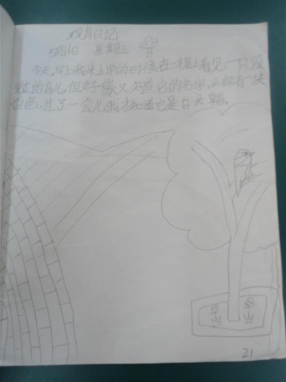 上传的图片