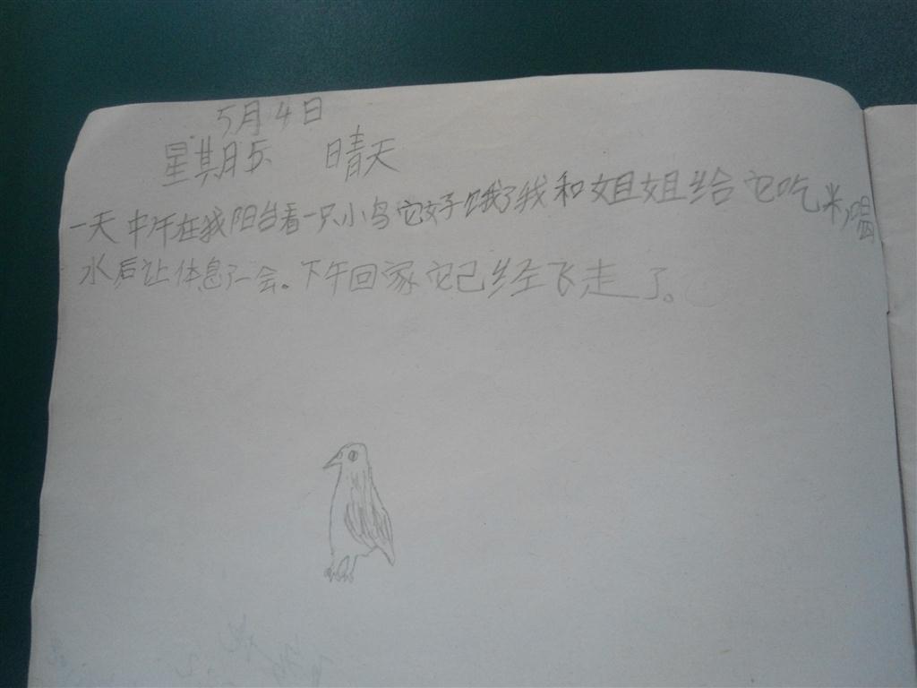 上传的图片