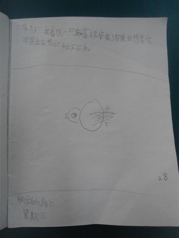 上传的图片