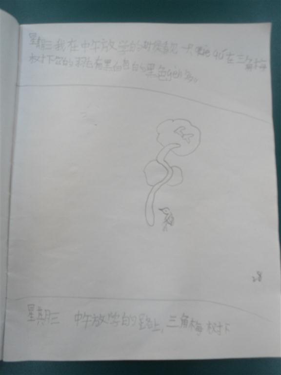 上传的图片