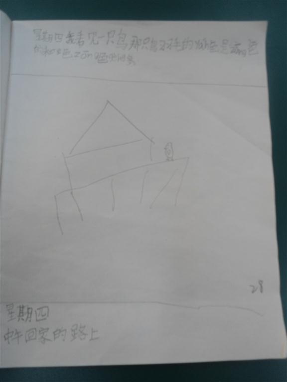 上传的图片