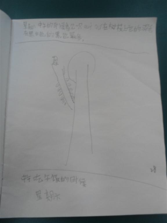 上传的图片