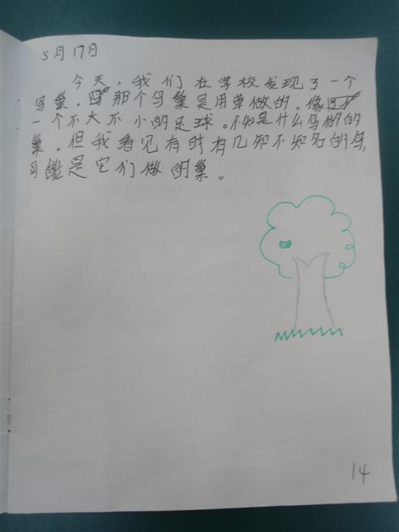 上传的图片