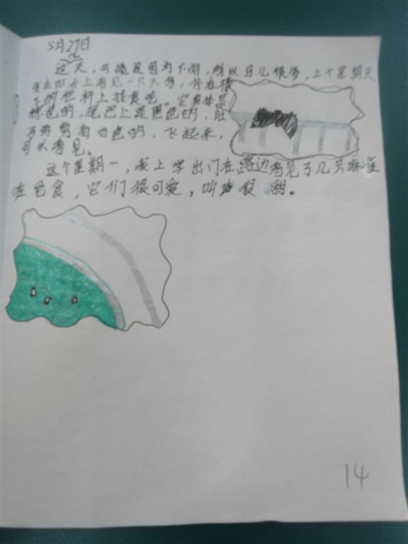 上传的图片