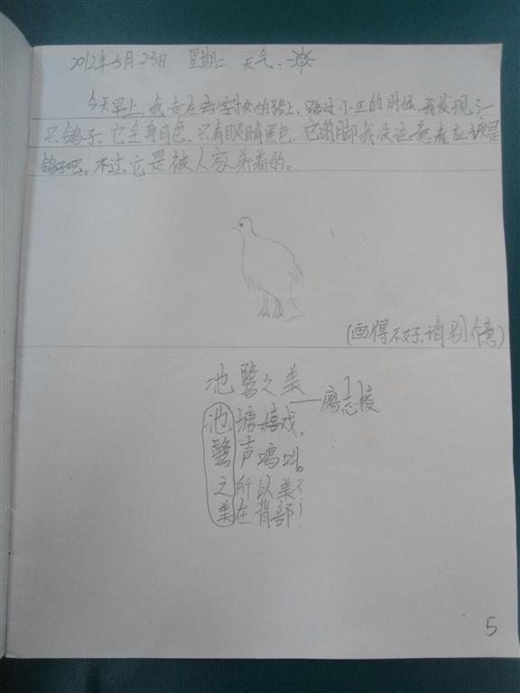 上传的图片