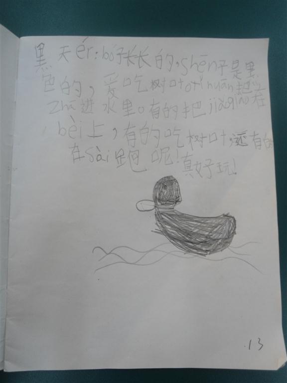 上传的图片
