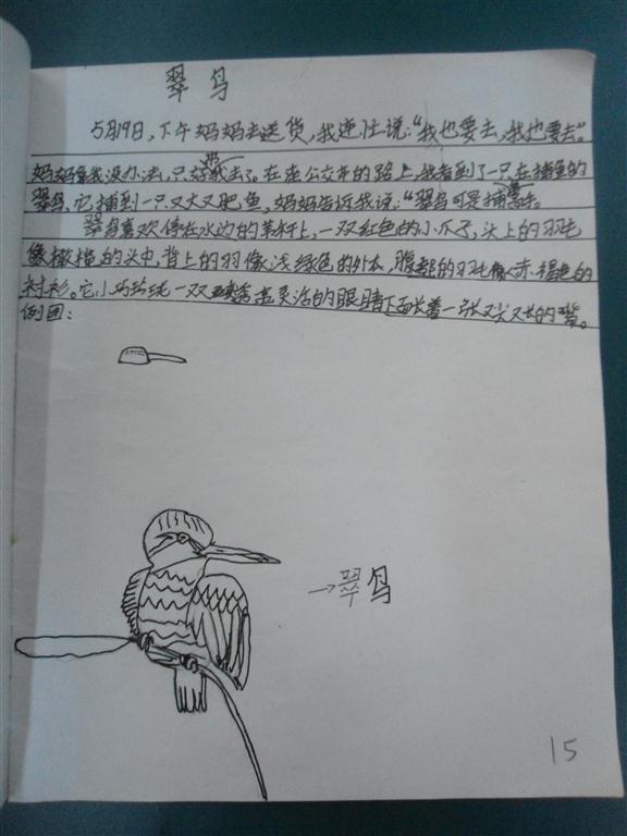 上传的图片