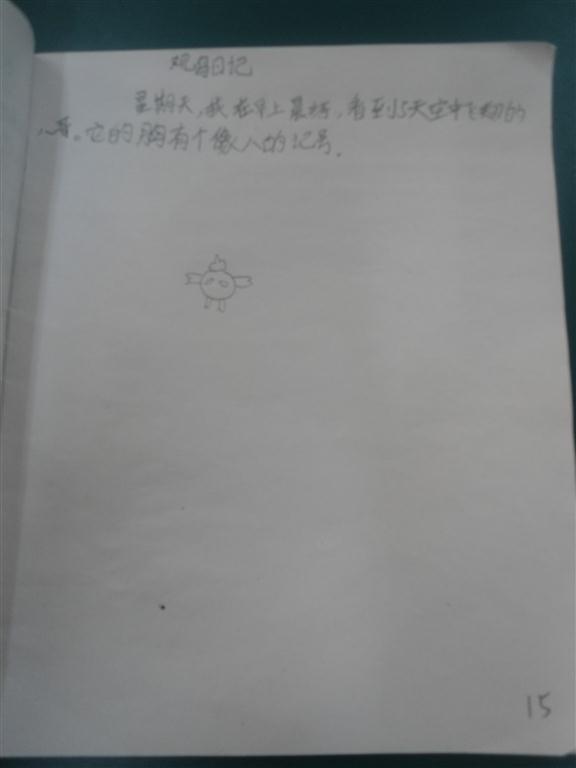 上传的图片